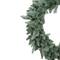 24" Pre-Lit Washington Frasier Fir Artificial Christmas Wreath